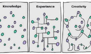 Wokół szkoleń, czyli sklep z myślami, anegdotami i refleksjami